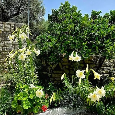 Studio Artik Retreat 1 Vakantiehuis Himare